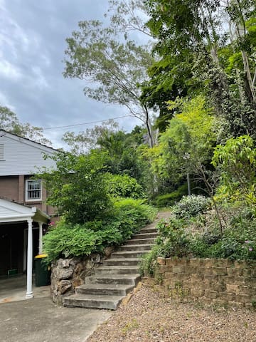 party paradise pet friendly gallery image 2