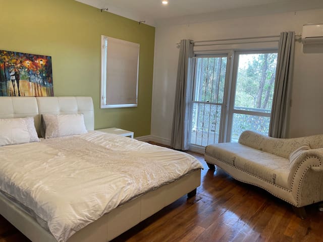 party paradise pet friendly gallery image 4