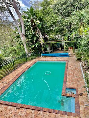 party paradise pet friendly gallery image 3