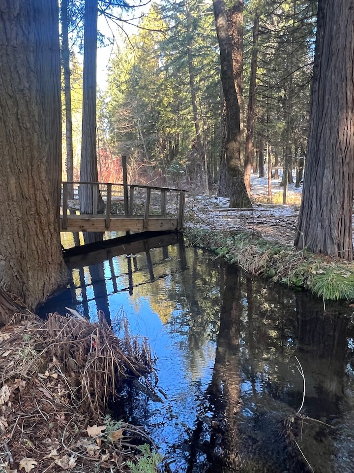 Cool Creek - Mt. Shasta-longterm - Dunsmuir, CA