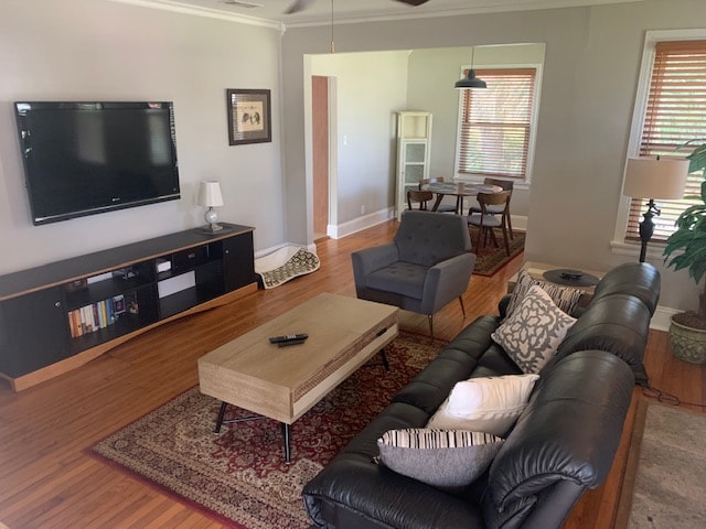 Successful Airbnb property: Cottage on 12th Avenue in Pensacola