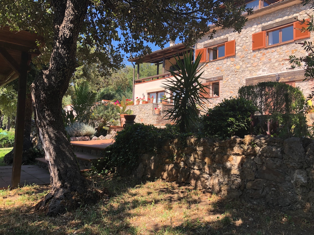 The villa's stone exterior is framed by lush greenery, showcasing various plants and trees. Terracotta planters are placed along the façade, with bright red flowers adding a touch of color. A shaded outdoor area is visible, providing a peaceful spot for relaxation.