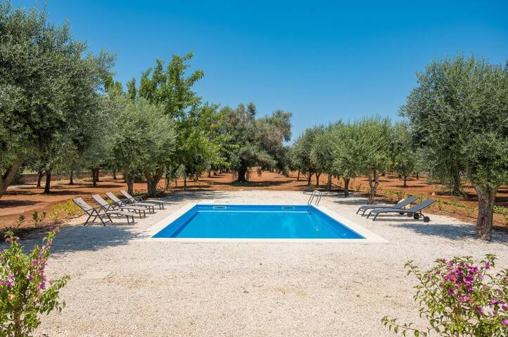 Villa Virgin Garden gallery image 2