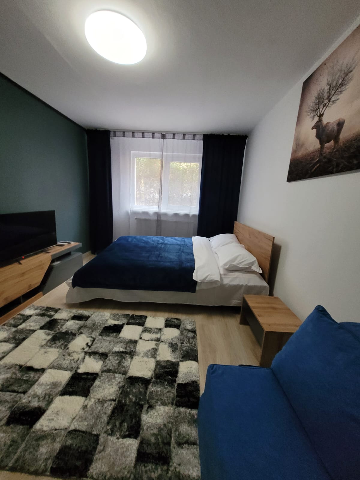 A sleeping area is presented with a spacious bed dressed in a blue and white duvet. A large window allows natural light to fill the room, complemented by dark curtains. A cozy rug sits beneath, and a small wooden table is positioned beside the bed.