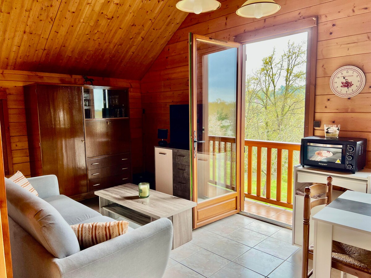 A cozy studio features wooden walls and a sloped ceiling, enhancing the natural feel. A comfortable sofa is positioned next to a modern coffee table, while a small dining table sits nearby. Large doors open to a balcony with greenery visible outside.