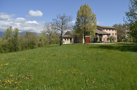 Appartamento immerso nel verde n 3