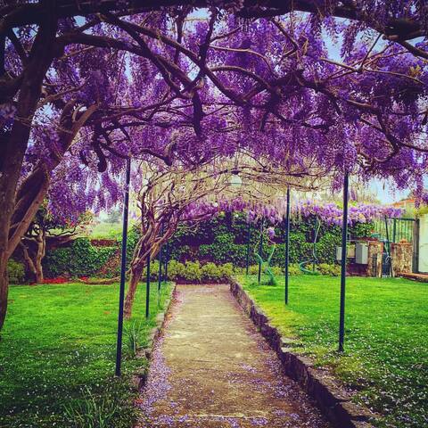 Villa Ninina in the Heart of Etna Park x10