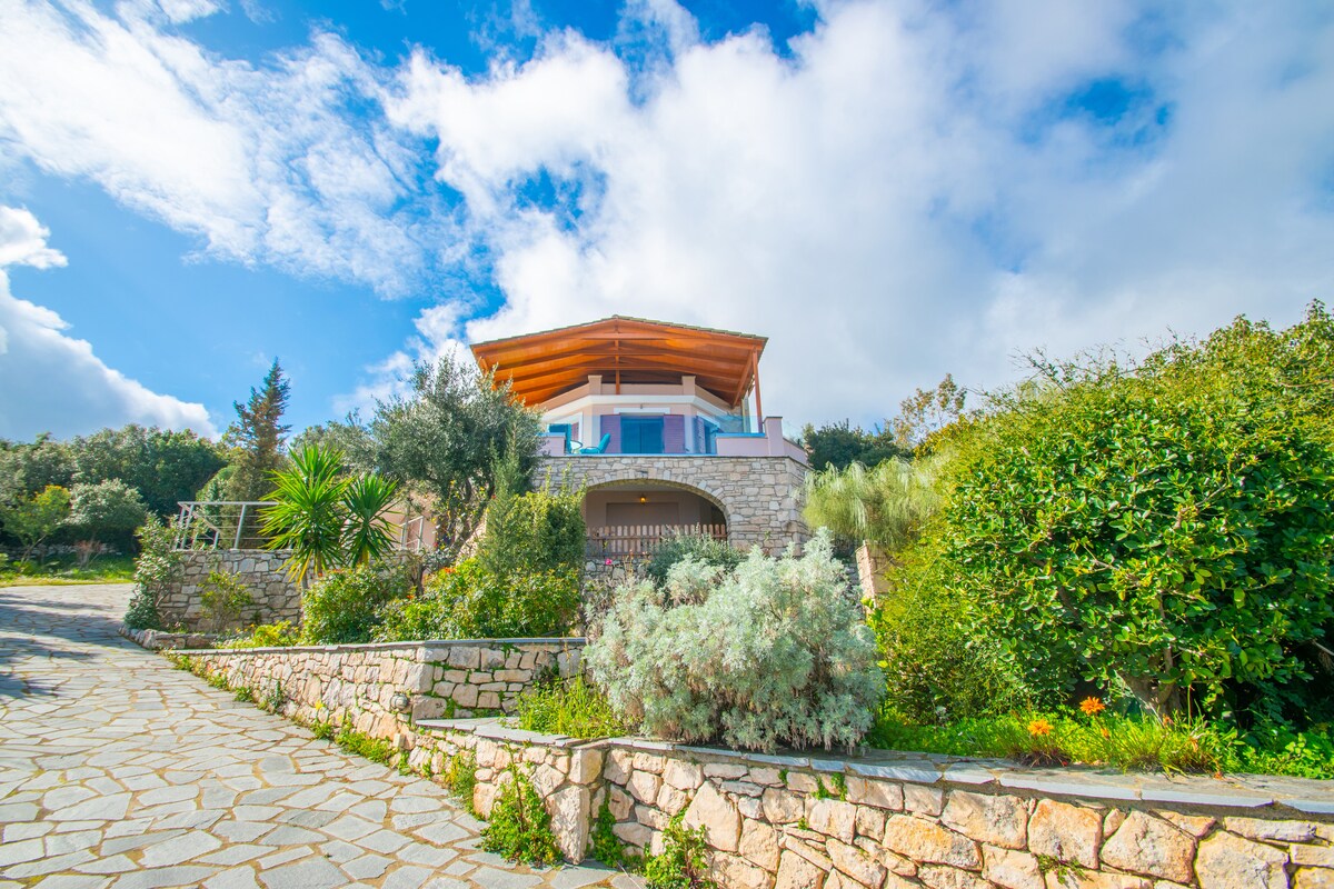 The villa's exterior showcases a stone facade complemented by lush greenery. A winding pathway leads to the entrance, bordered by flowering shrubs and palm trees. The roof features a distinctive overhang, and large windows on the upper level reflect the sky above.