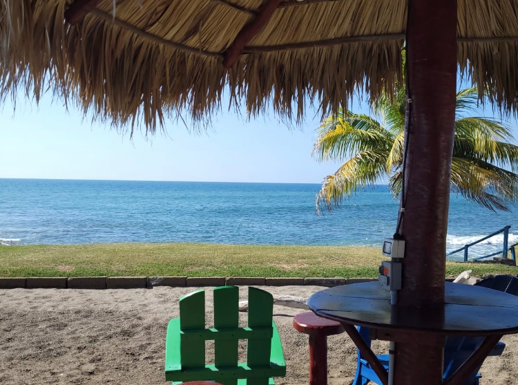 A thatched-roof palapa offers shaded seating with colorful chairs overlooking the sandy beach and Pacific Ocean. Calm waters reflect the clear sky, while palm trees enhance the tropical setting. A grassy area separates the seating from the shoreline, inviting relaxation in a serene environment.