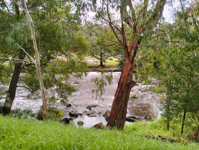 Riverside Retreat – Yarra River & Mt Donna Buang gallery image 4