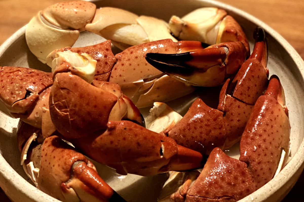 La Casa Verde, restored 19th-century colonial house in Campeche — Casonas MX — photo 44