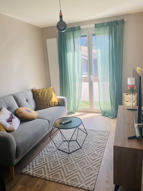 Top performing Airbnb: Annecy, nice 2 rooms near the lake in Annecy