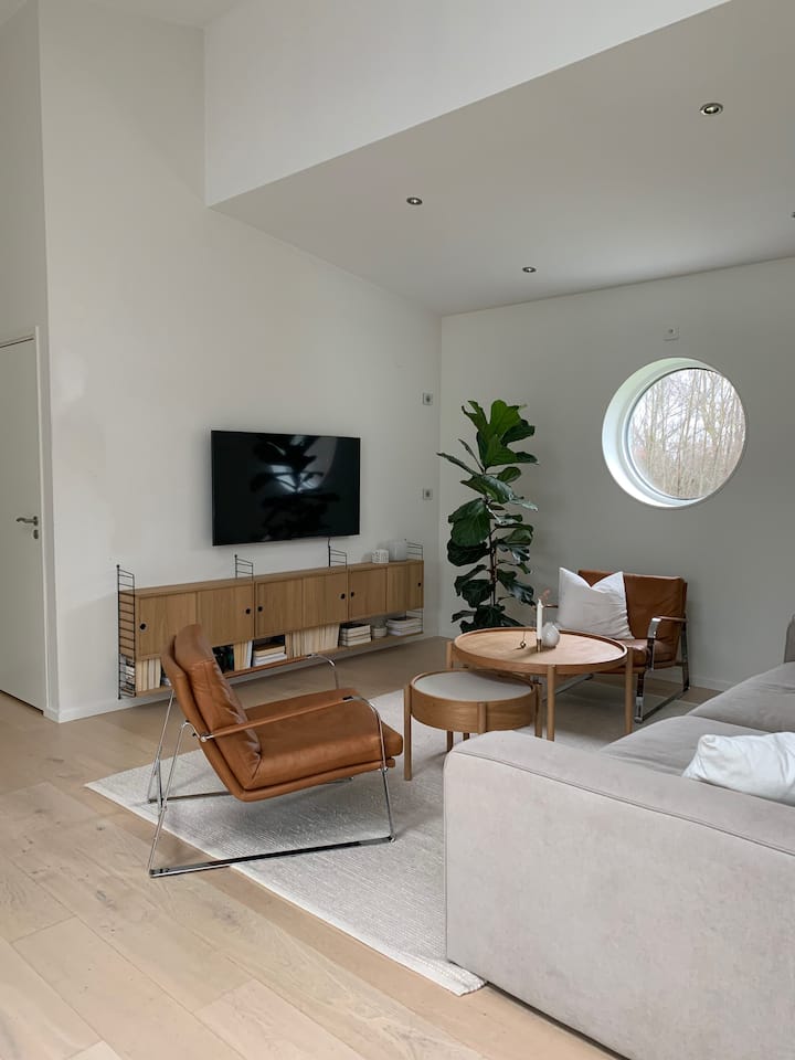 غرفة المعيشة 1