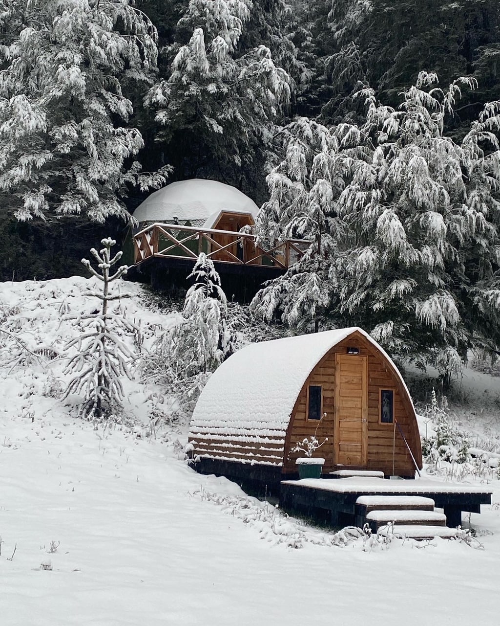 Two charming wooden cabins are nestled among snow-covered trees. The foreground cabin features a rounded design with a welcoming entrance. A decked cabin is visible in the background, surrounded by a thick blanket of snow, creating a serene winter landscape.