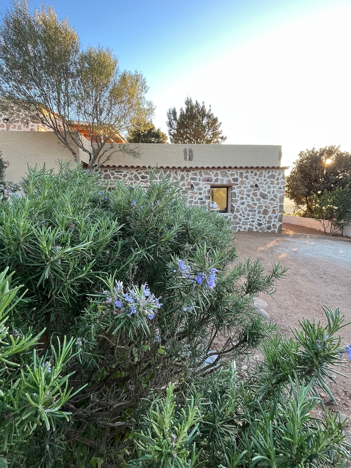 A low stone wall is visible, matching the rustic architecture of the building behind it. Lush greenery is in the foreground, with small purple flowers adding color. The soft glow of an evening light highlights the serene environment, enhancing the tranquil atmosphere.
