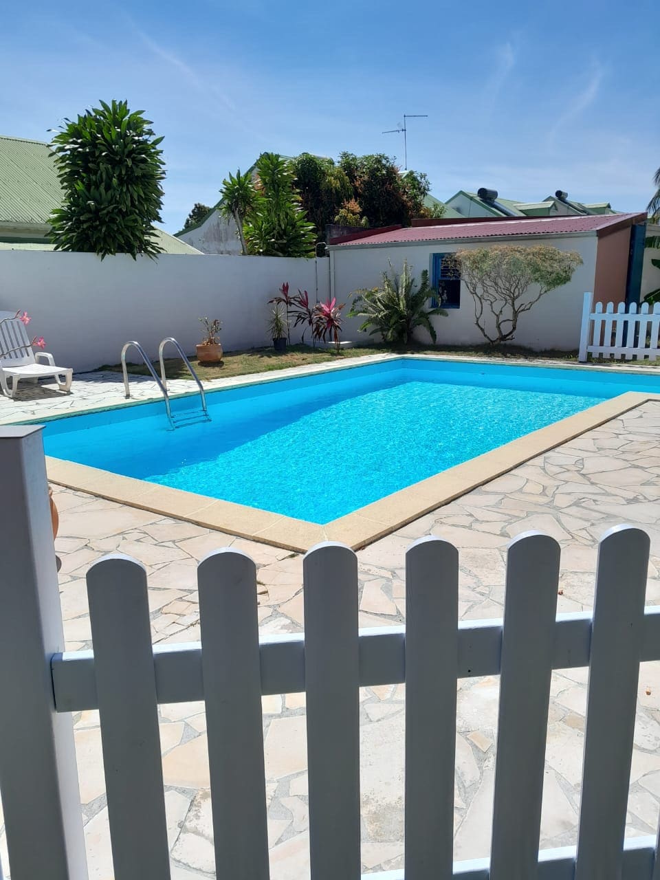 A serene saltwater pool is framed by a stone patio and surrounded by lush greenery. A white fence offers privacy, while poolside steps lead into the inviting water. Bright sunlight reflects off the surface, creating a peaceful atmosphere.