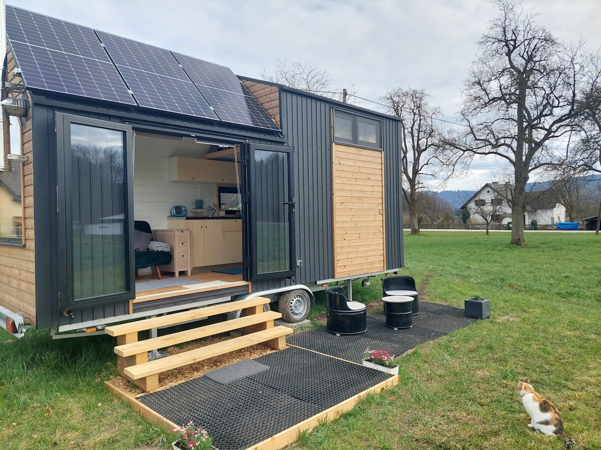 The tiny house features a modern exterior with solar panels on the roof and a combination of wood and dark metal siding. Steps lead up to a welcoming entrance, while a small patio area is visible with seating options and landscaping. Nearby, a cat is seen on the grass.