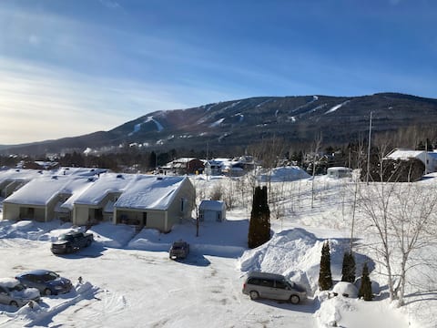 Condo Mont Sainte-Anne