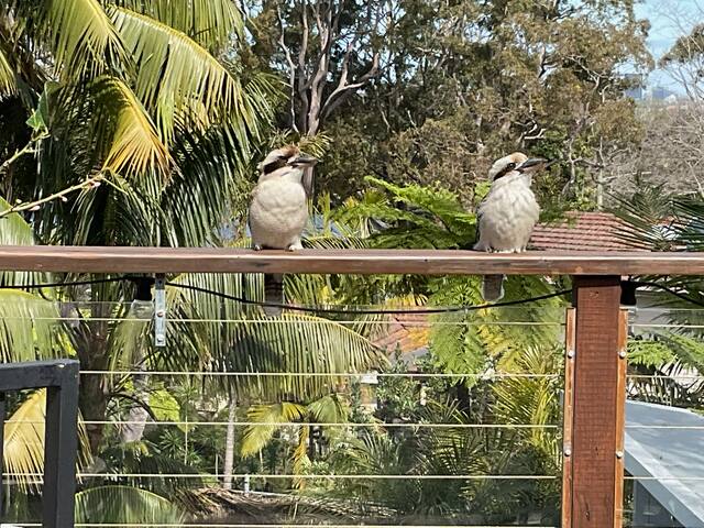 Coastal getaway for family fun! gallery image 4