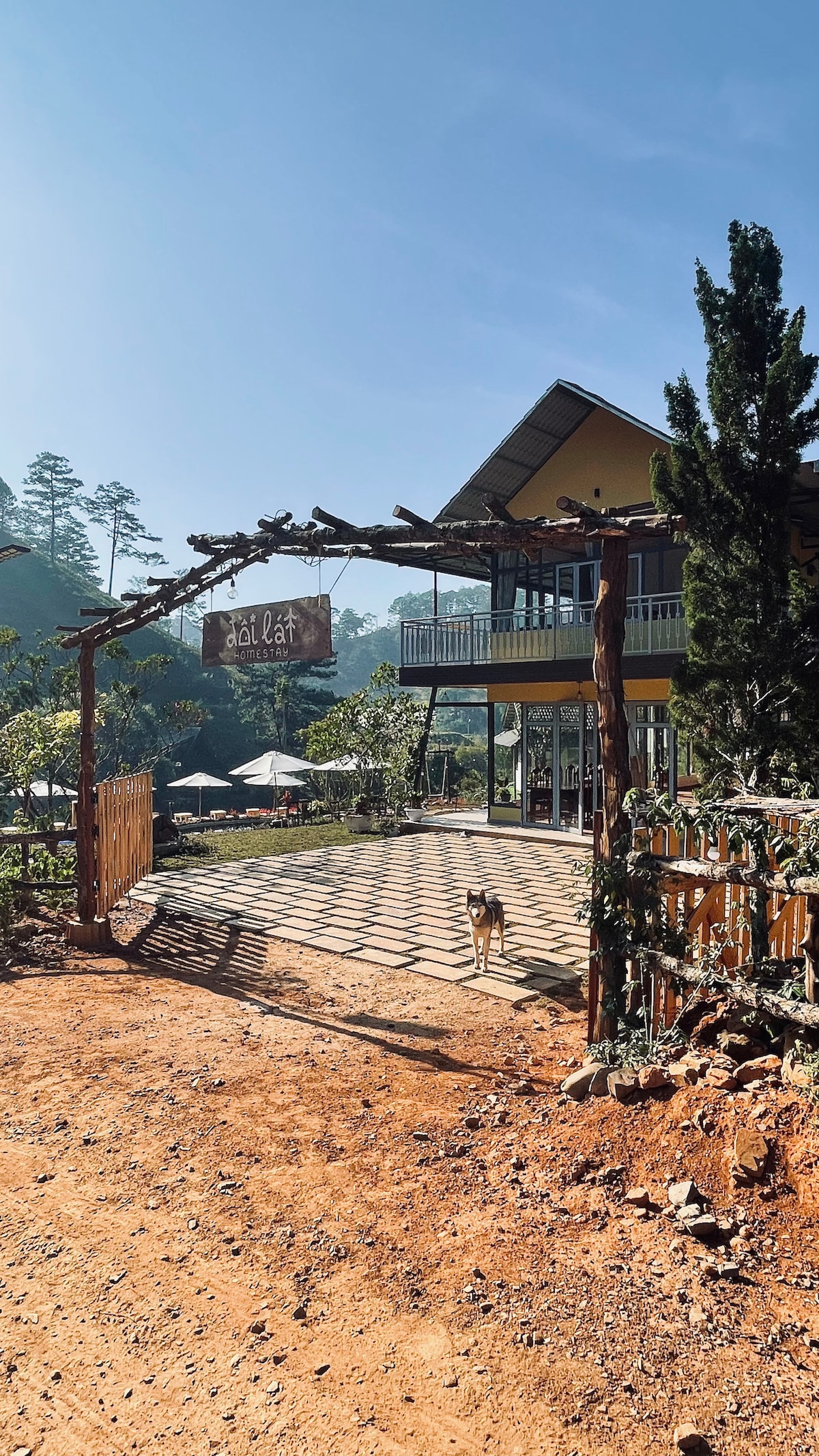 The entrance to Đồi Lát Homestay features a wooden sign and is framed by a rustic archway. A gravel path leads into the property, bordered by greenery and seating areas under umbrellas. A dog is seen exploring near the entryway.