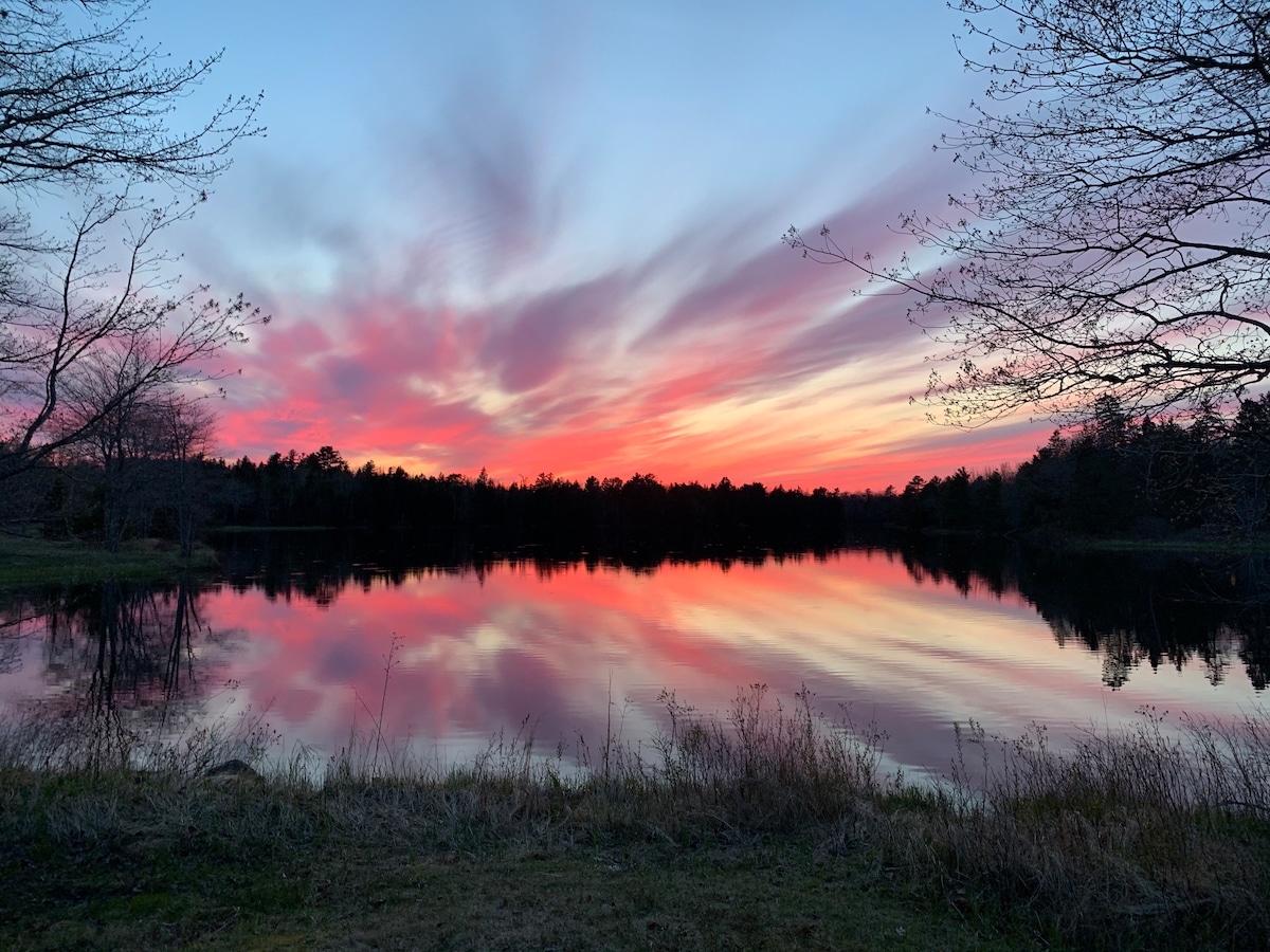 A serene lake scene at dusk presents a vibrant display of pink and orange hues reflected on the water. Gentle ripples create a soft texture across the surface. Silhouetted trees frame the view, enhancing the tranquil atmosphere of the natural landscape.
