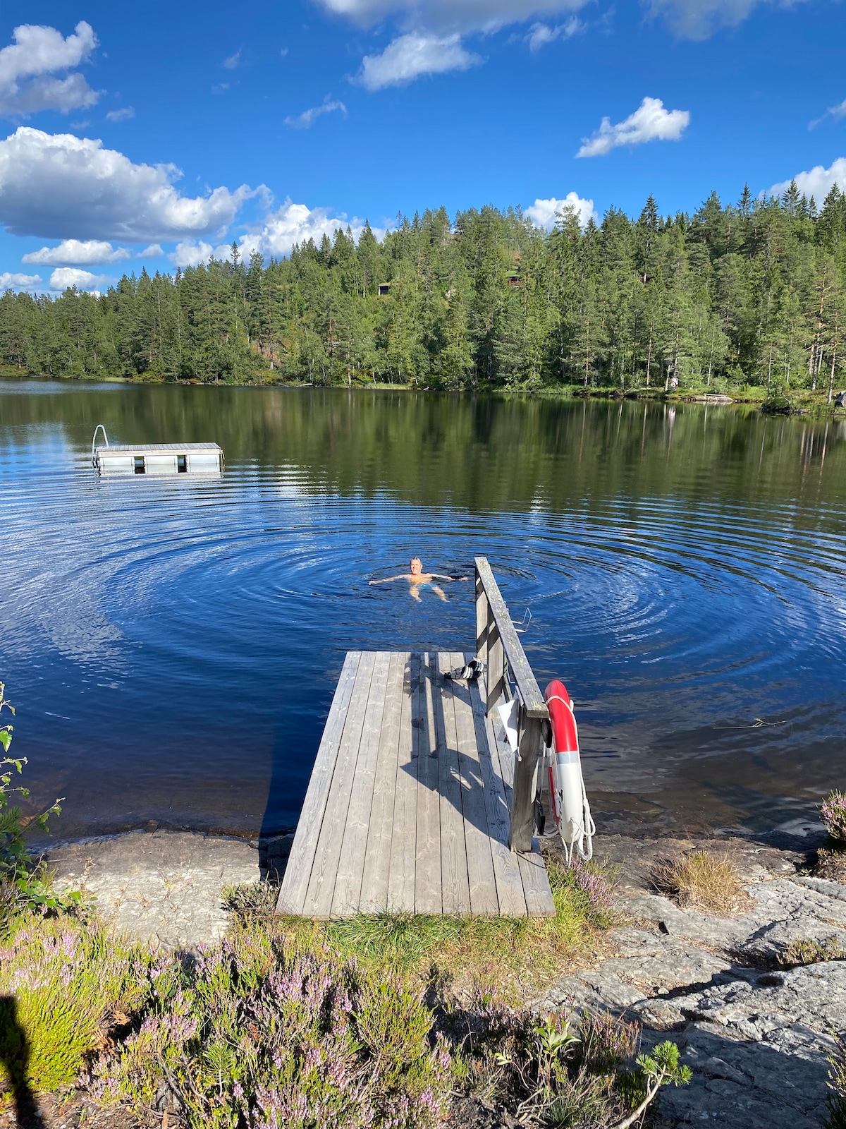 A wooden dock extends into a calm lake, surrounded by lush greenery and trees. A person is seen swimming near the dock, with gentle ripples emanating from their movements. A buoy is anchored nearby, enhancing the serene natural setting.