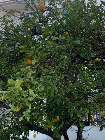 Be MyGuestHouse, in Lisbon Heart gallery image 5