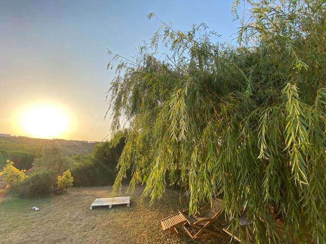 Quinta TreeWindBee gallery image 2