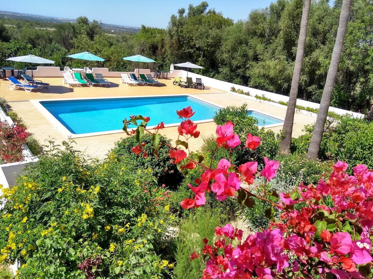 A tranquil swimming pool is framed by well-tended gardens featuring vibrant flowering plants. Lounge chairs and umbrellas are neatly arranged around the pool area, offering relaxation spots. Lush greenery and palm trees provide a natural backdrop, enhancing the serene outdoor setting.