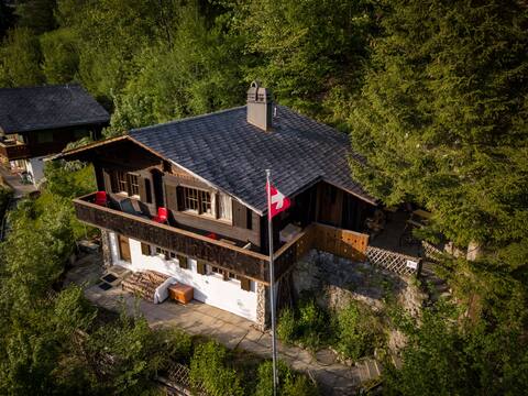Entire mountainside chalet