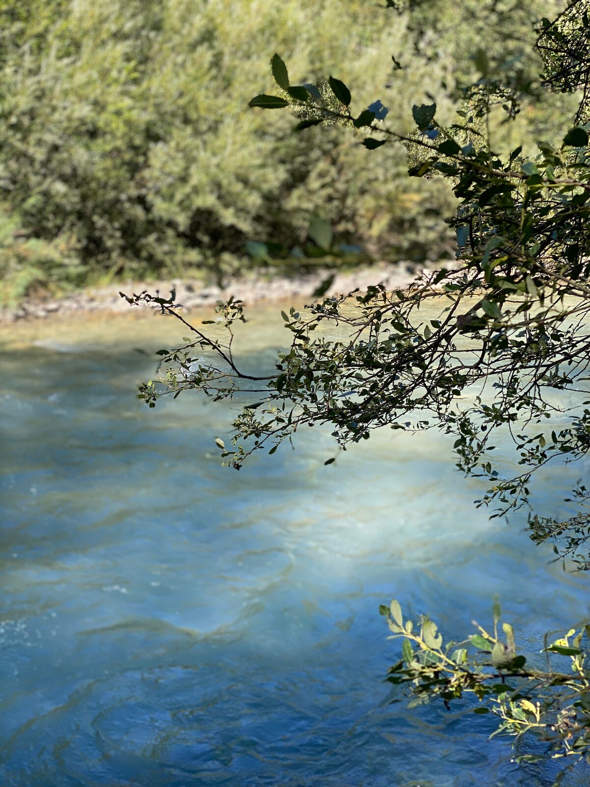 The image captures a serene river scene, with clear blue waters reflecting sunlight. Edges of the river are framed by lush greenery, including branches with leaves partially obscuring the view, creating a natural and tranquil ambiance.