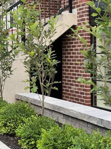 The Byron Brownstone gallery image 2