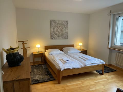 Successful Airbnb property: Cozy, sunny, city center 1BR flat (Marble 3) in Hirslanden