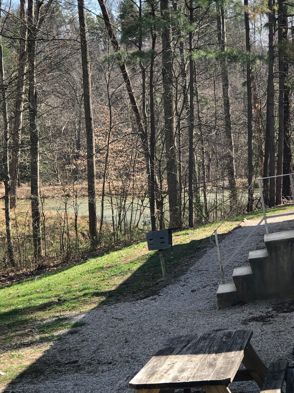 A gravel pathway leads to a set of steps descending from a house, bordered by a grassy area. In the background, tall trees provide shade, and a calm pond can be seen beyond the foliage.