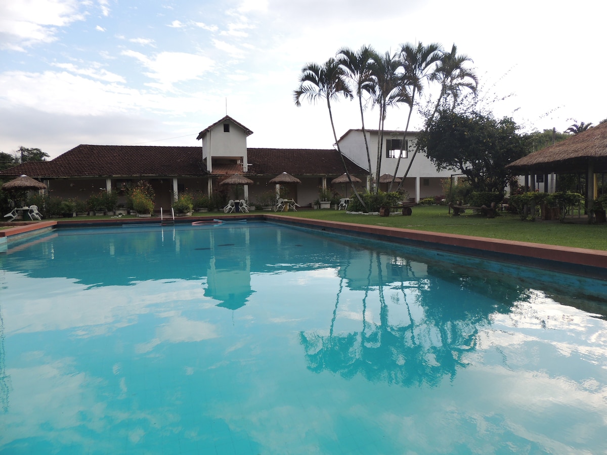 A semi-Olympic swimming pool reflects the surrounding palm trees and buildings. Lounge chairs are placed around the pool, and shaded seating areas are visible in the background. Well-maintained gardens enhance the serene outdoor space.