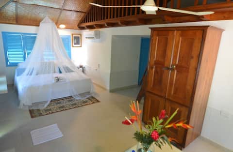 Calamar Byside - Coralina Island.