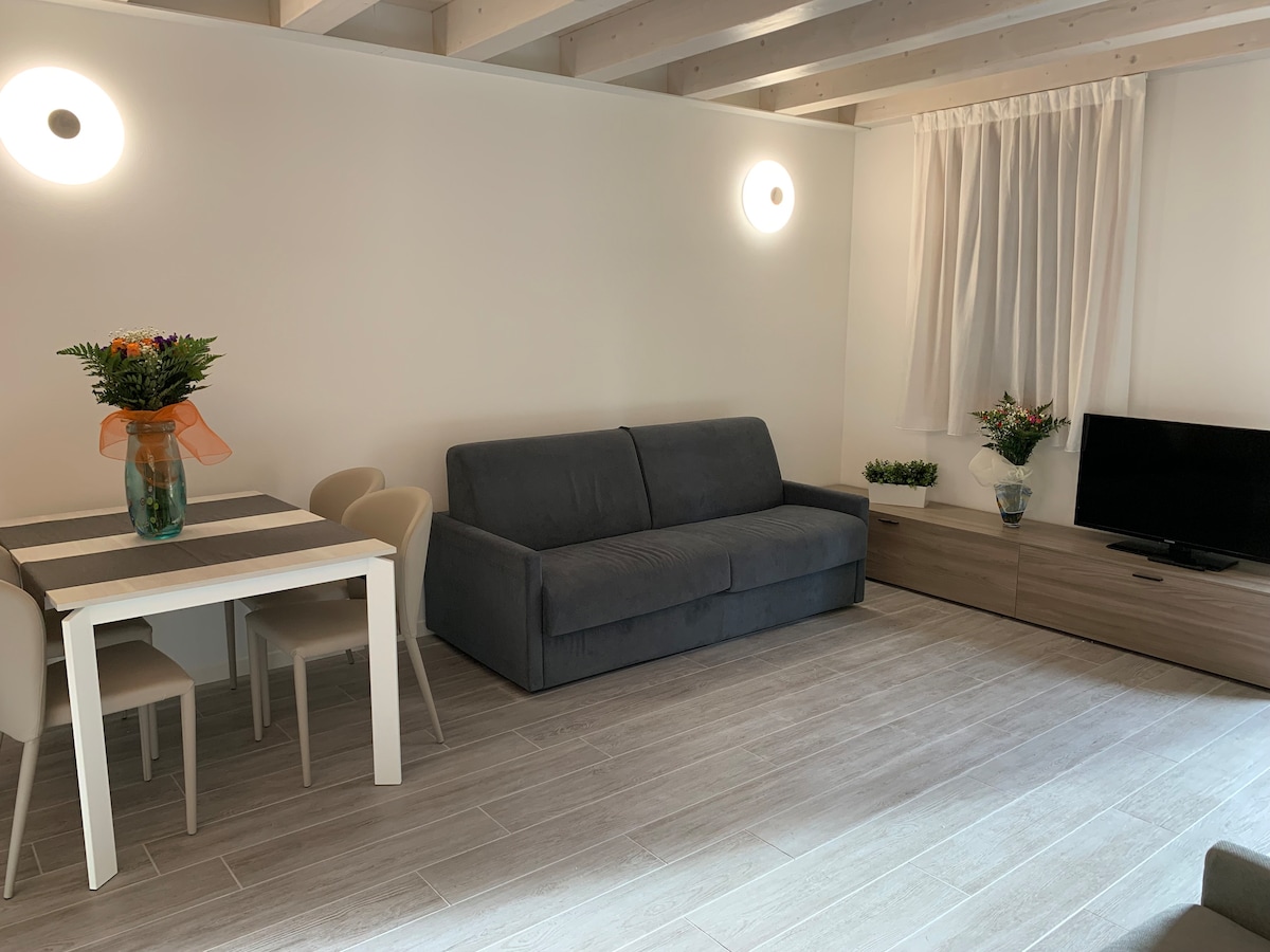 A modern living space features a gray sofa against a white wall. A small dining table with four chairs is set next to it. Decorative plants are placed on a wooden TV stand, while natural light filters through sheer curtains adorning a nearby window.