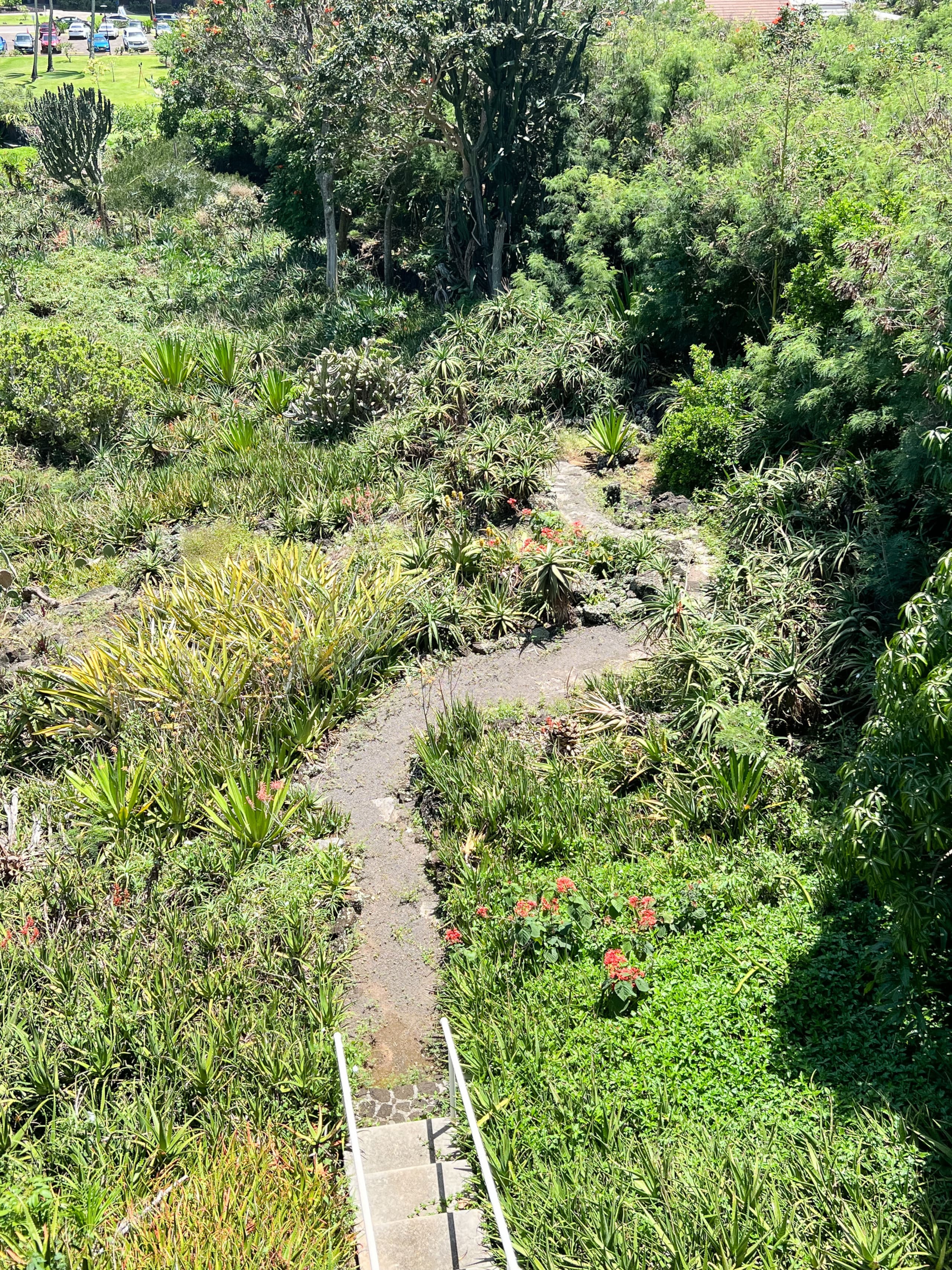 Condo in Koloa · ★4.99 · 1 bedroom · 2 beds · 1 bath - Photo 56