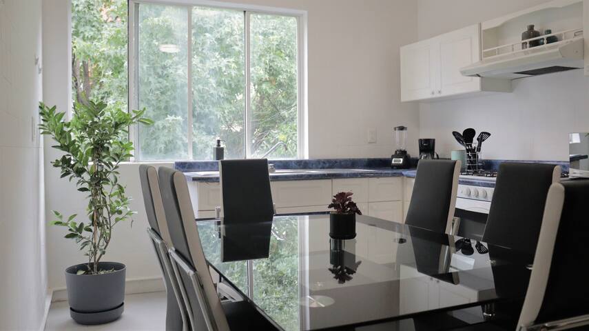 Great apartment 5 rooms, Angel de la Independencia gallery image 2