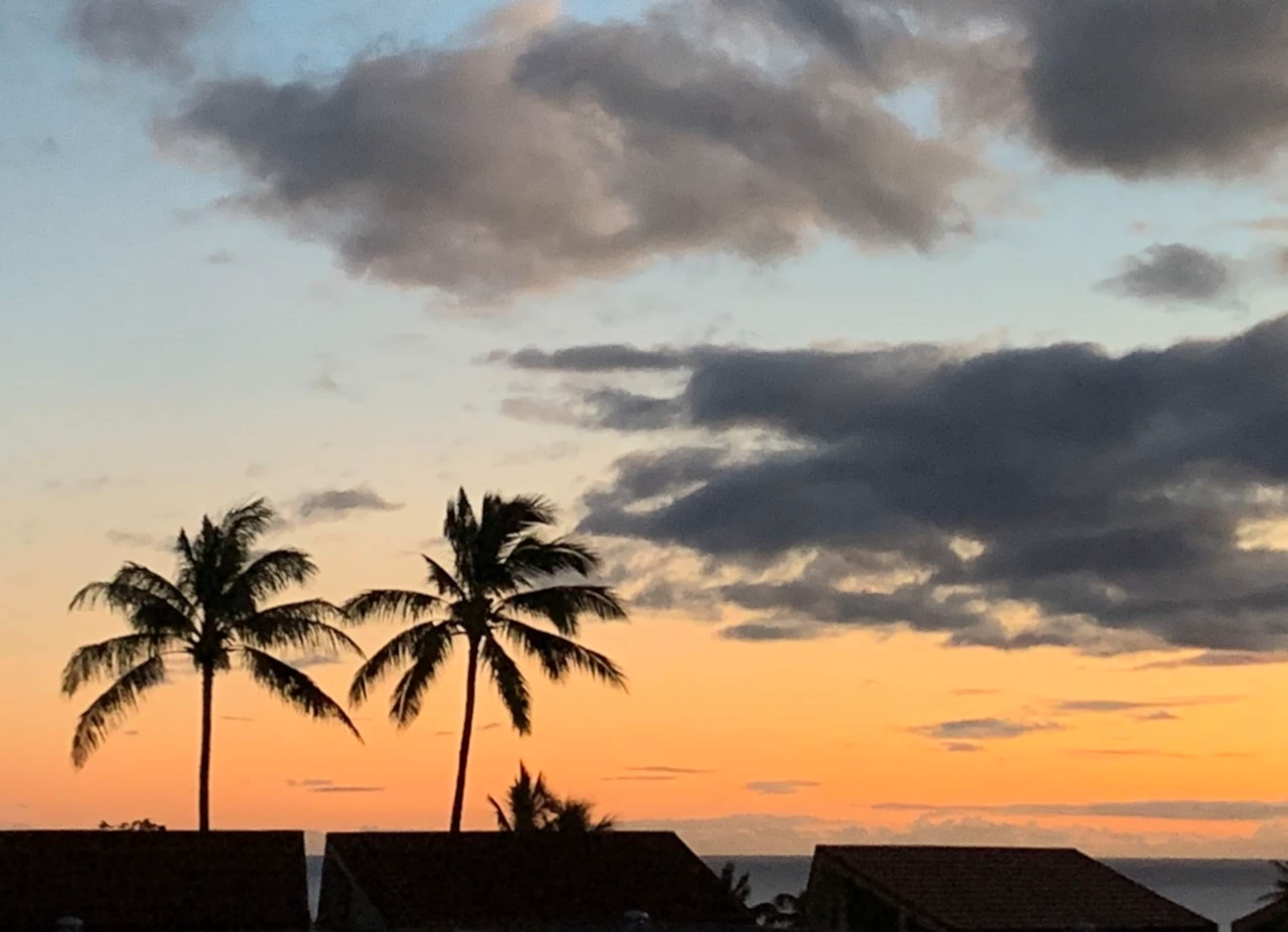 Condo in Waianae · ★5.0 · 2 bedrooms · 3 beds · 1 private bath - Image 27