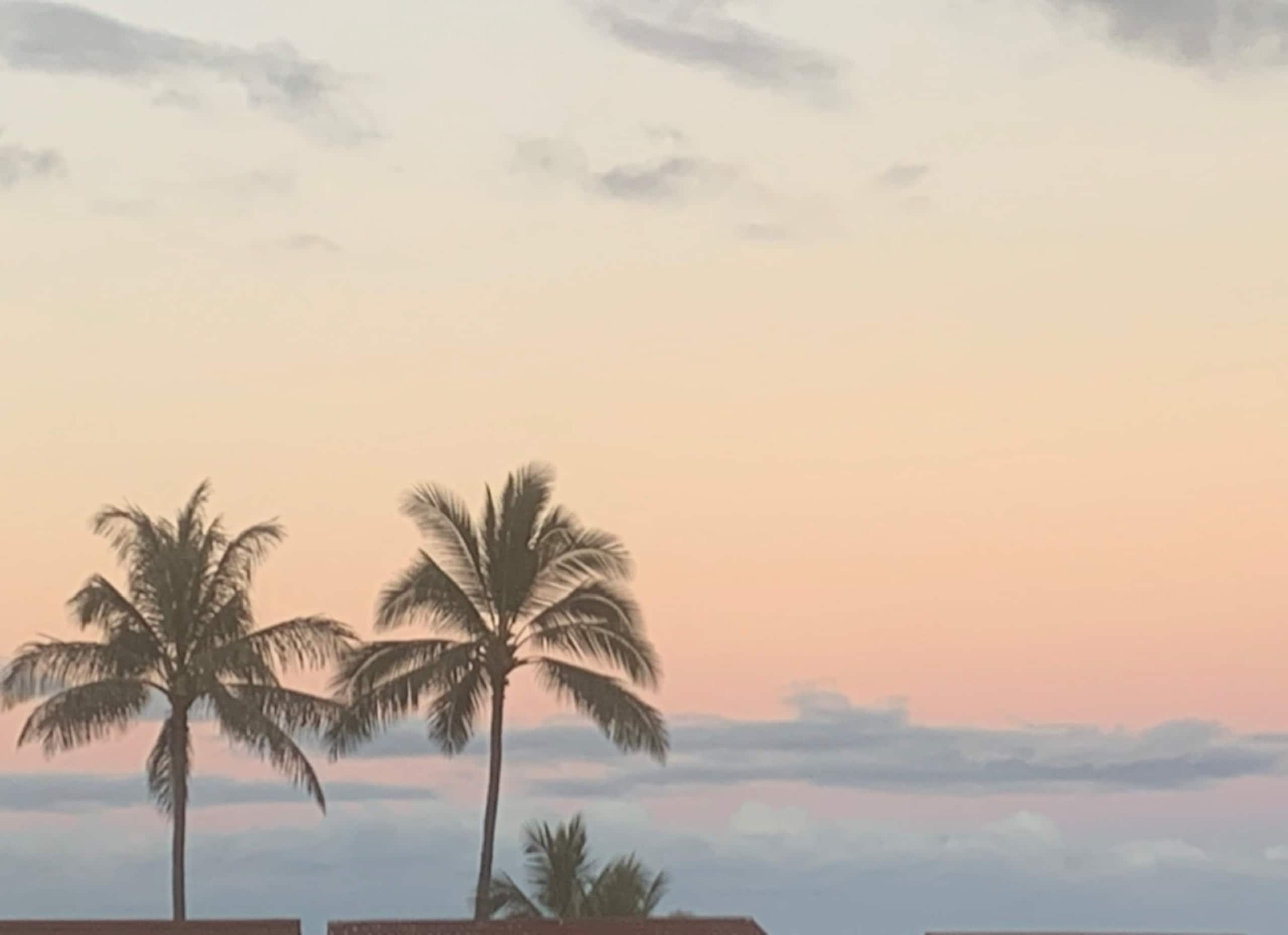 Condo in Waianae · ★5.0 · 2 bedrooms · 3 beds · 1 private bath - Image 28