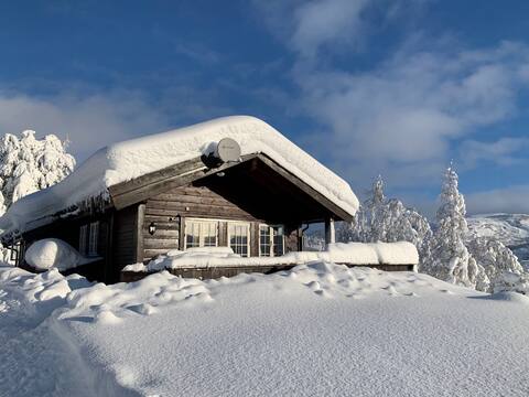 Great 3 bedroom cabin, 6+2 beds! Parking!
