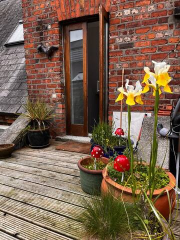 Beautiful City Townhouse gallery image 3