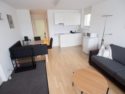 2-room apartment with parking and terrace