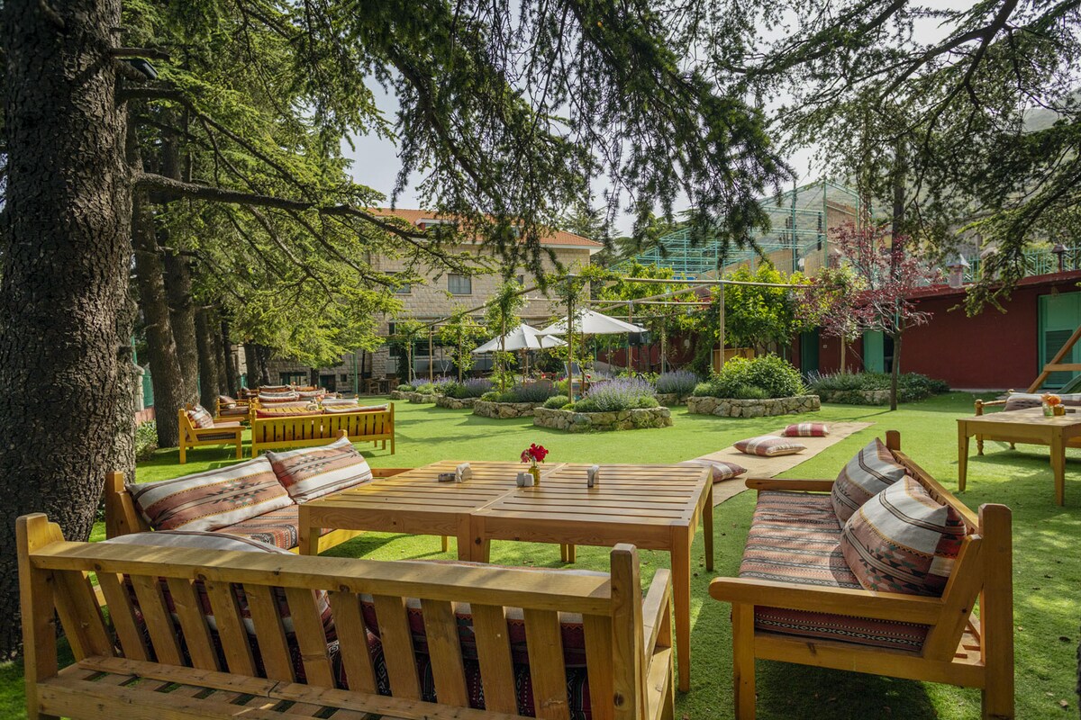A spacious garden area is surrounded by tall trees, featuring wooden seating arrangements with comfortable cushions. A variety of vibrant plants and flowers are visible, along with shaded areas and umbrellas for relaxation. The inviting atmosphere encourages outdoor leisure and tranquility.