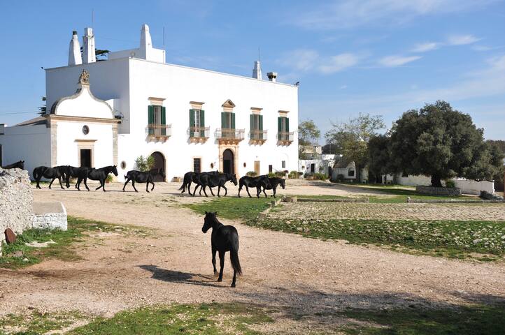 Historic House Masseria Tagliente gallery image 2