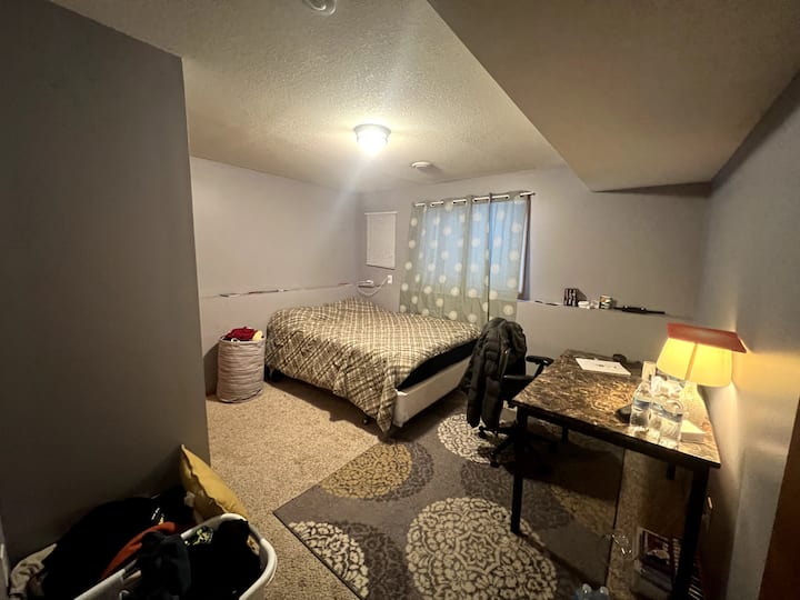 Comfy Townhome Basement - Woodbury, MN