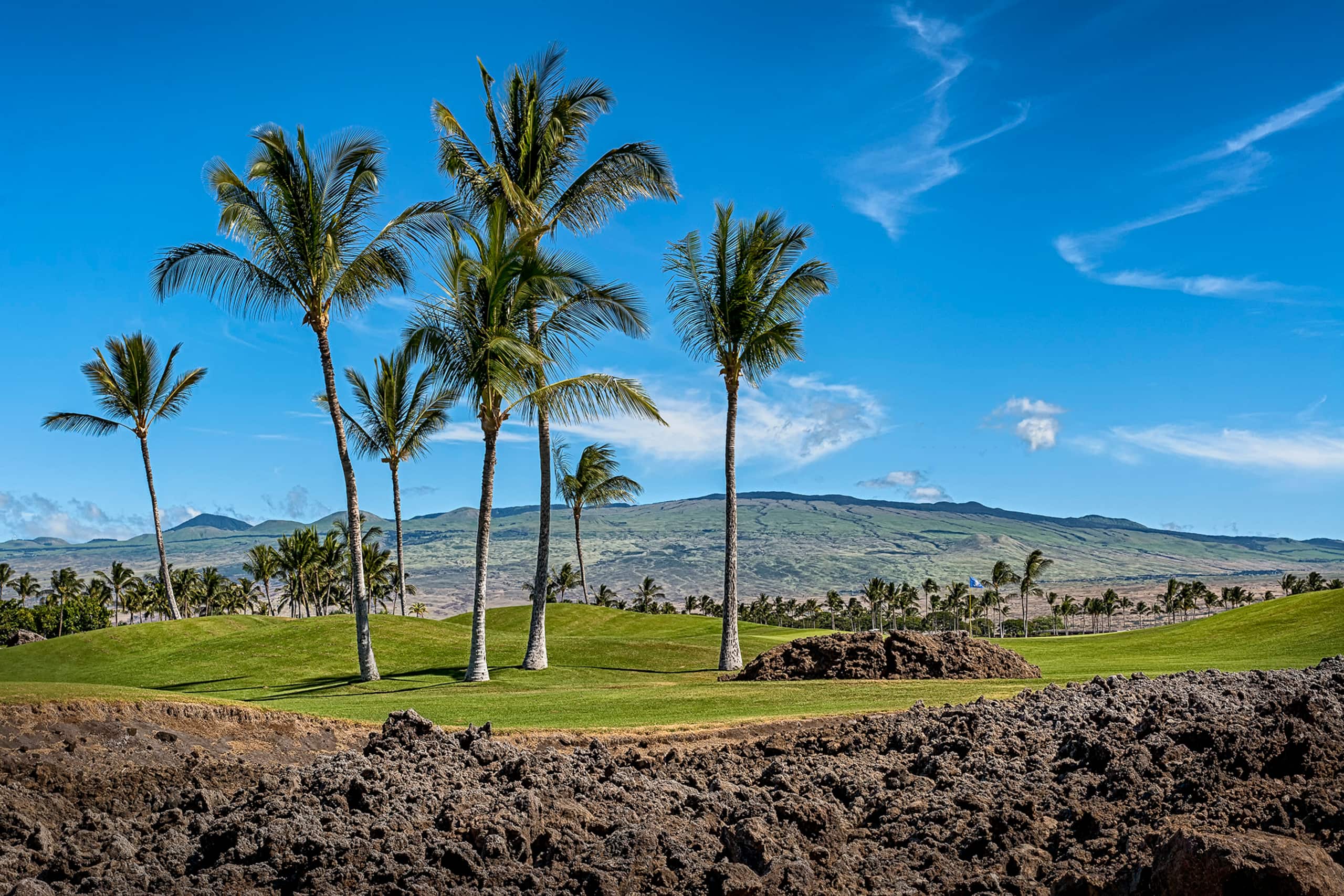 Condo in Waimea · ★5.0 · 3 bedrooms · 3 beds · 3 private baths - Image 57