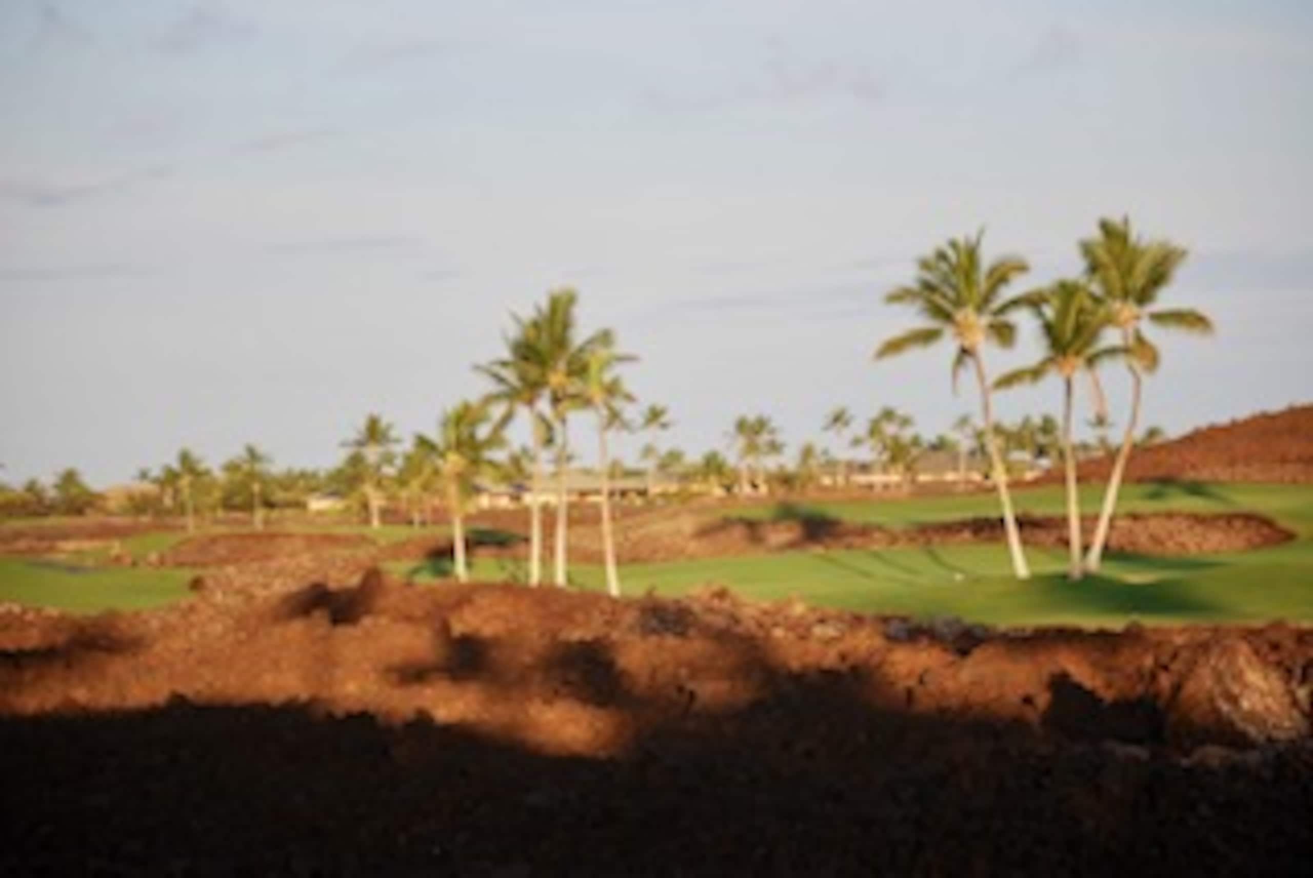 Condo in Waimea · ★5.0 · 3 bedrooms · 3 beds · 3 private baths - Image 53