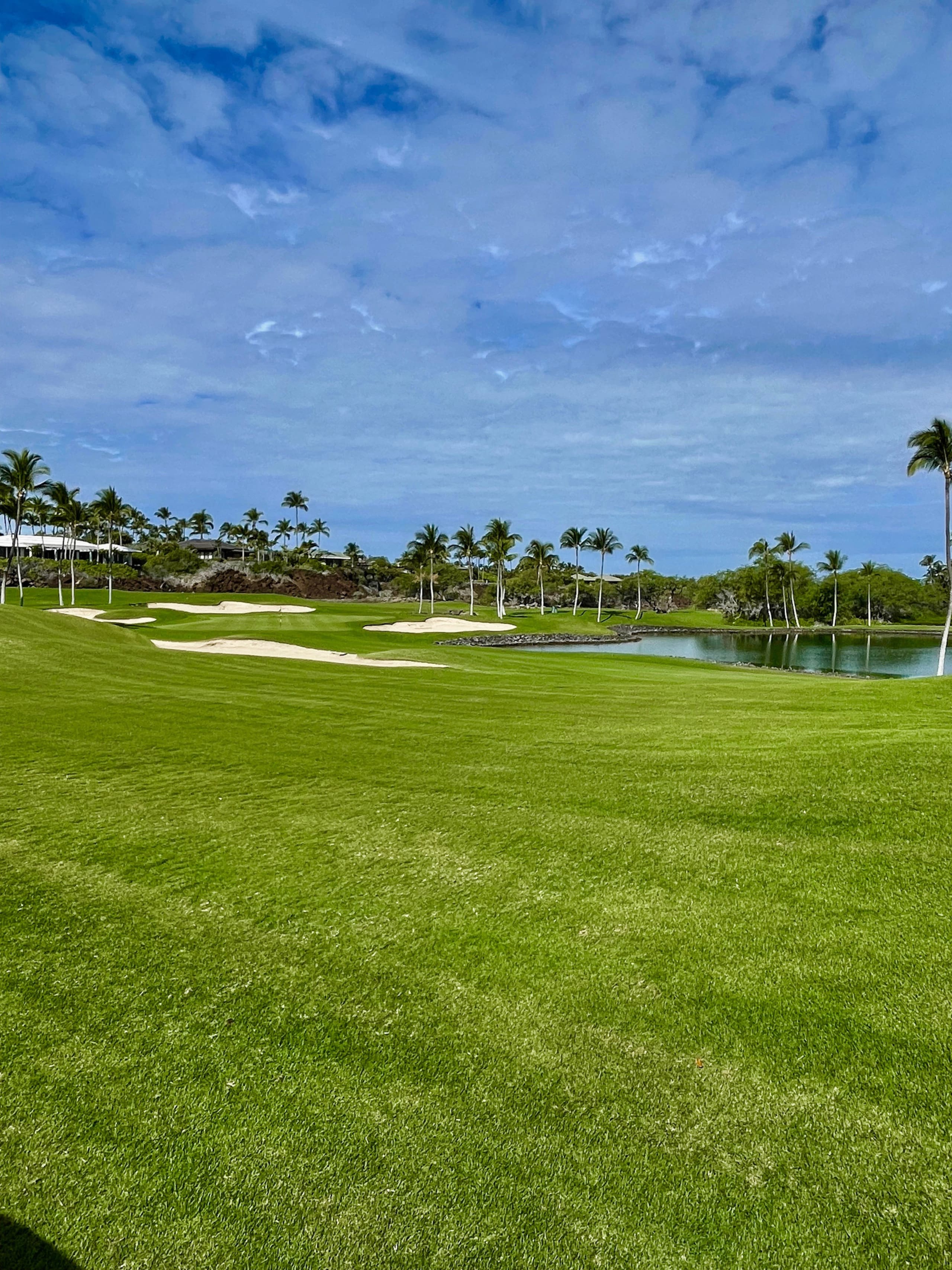 Condo in Waimea · ★5.0 · 3 bedrooms · 3 beds · 3 private baths - Image 52